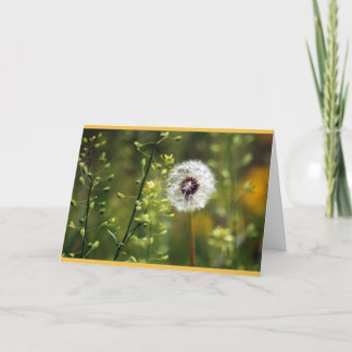 Cartão Dandelion Birthday Deseja