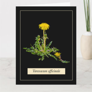 Cartão Dandelion botânico