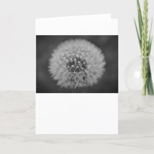 Cartão Dandelion, card