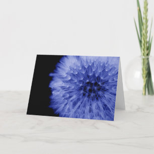 Cartão Dandelion de belas artes