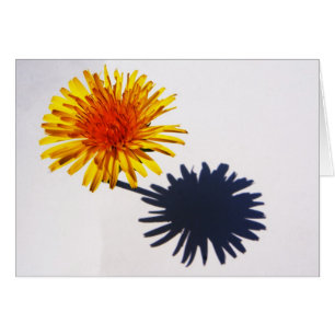 Cartão Dandelion e Shadow gblankcn