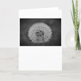 Cartão Dandelion - Noir, placa