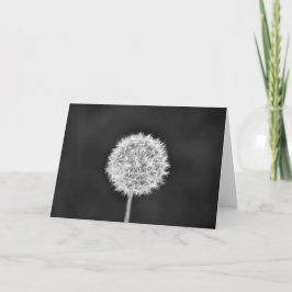 Cartão Dandelion - Noir, placa