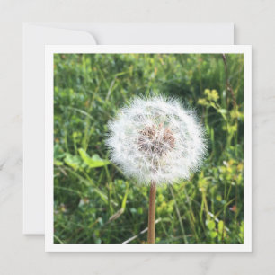 Cartão dandelion personalizado
