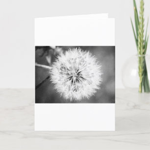 Cartão Dandelion preto e branco