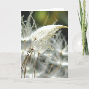 Cartão Dandelion Seeds Abraçam, Histórias em Poesia da Na