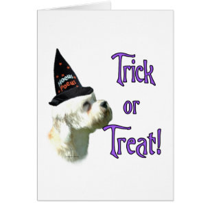 Cartão Dandie Dinmont Terrier Trick