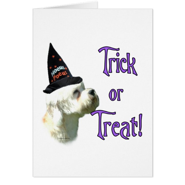 Cartão Dandie Dinmont Terrier Trick (Frente)