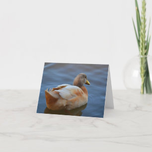 Cartão Dandy Duck Note Card