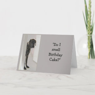 Cartão Daneiro Grande Humor de Cachorro Bolo de Aniversár