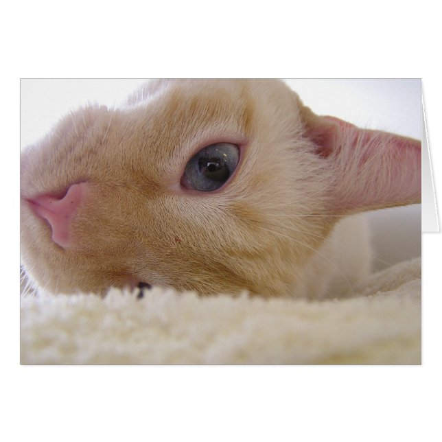 Cartão Daniel (Frente Horizontal)