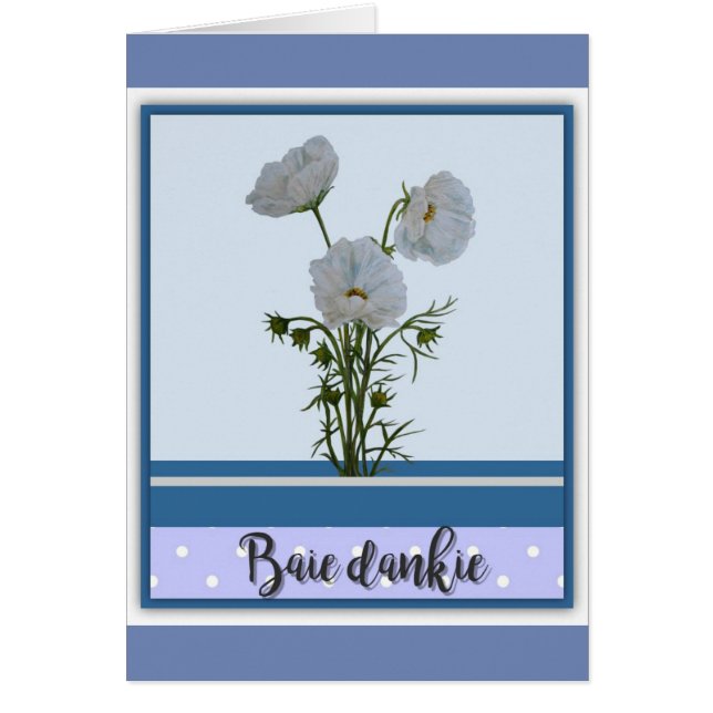 Cartão Dankie de Baie (Frente)