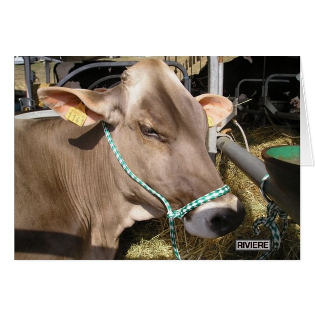 Cartão d'Aquitaine louro (Frente Horizontal)