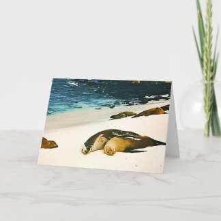 Cartão Dar dos leões de mar