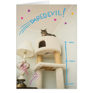Cartão Daredevil Cat