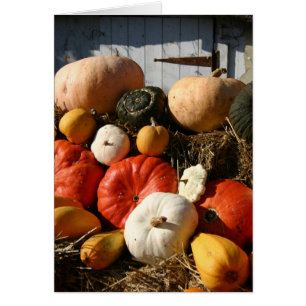 Cartão das abóboras