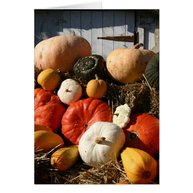 Cartão das abóboras (Frente)