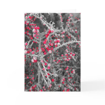 Cartão das bagas do fosco