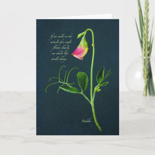 Cartão das citações do milagre de Buddha (Frente)