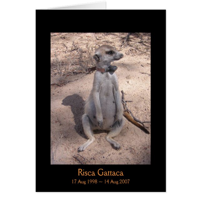 Cartão das legendas de Risca (Frente)