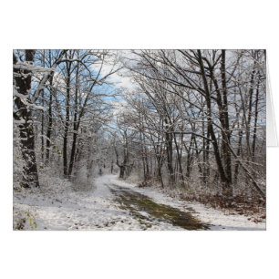 Cartão das maravilhas do inverno