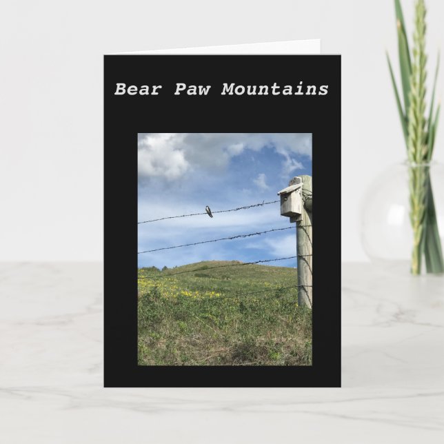Cartão das montanhas da pata de urso (Frente)
