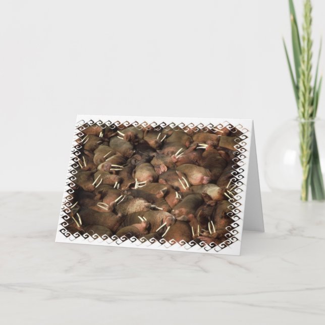 Cartão das morsas (Frente)