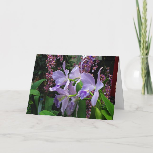 Cartão das orquídeas (Frente)