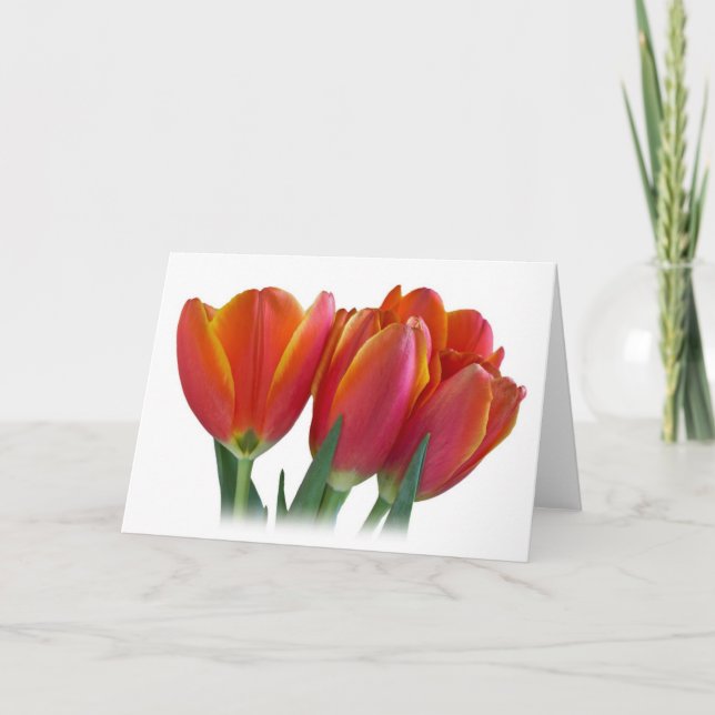 Cartão das tulipas (Frente)