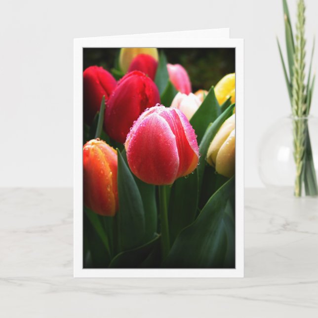 Cartão das tulipas (Frente)