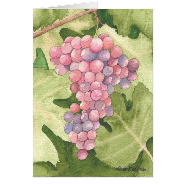 Cartão das uvas de Cabernet (Frente)