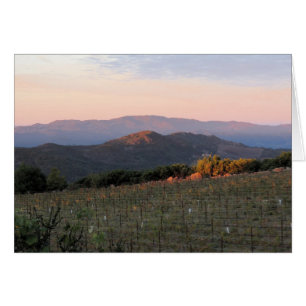 Cartão Dawn do Atlas Peak, Napa Valley, 1