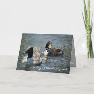 Cartão "day at the duck pond." Bay Saint Louis GREETING C