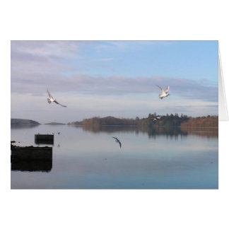 CARTÃO DAYBREAK, DONEGAL BAY