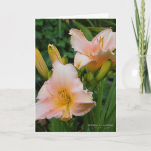 Cartão Daylilies / Cream With Pastel Pink Blush /