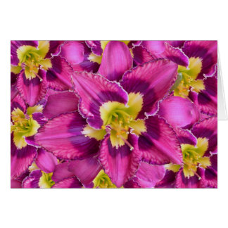 Cartão Daylily 'Catcher InThe Eye'
