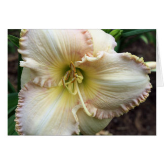 Cartão Daylily Dreaming