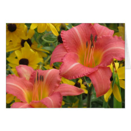 Cartão Daylily e Rudbeckia Combo