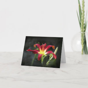 Cartão Daylily Note Card