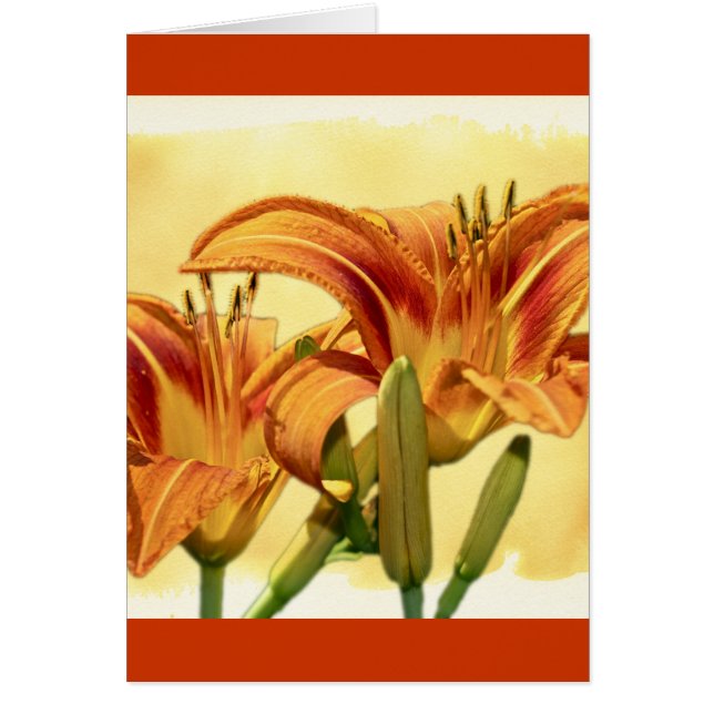 Cartão Dayllírios - Hemerocallis (Frente)