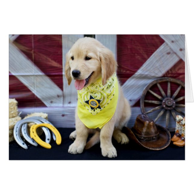 Cartão de Abby do vaqueiro (Frente Horizontal)