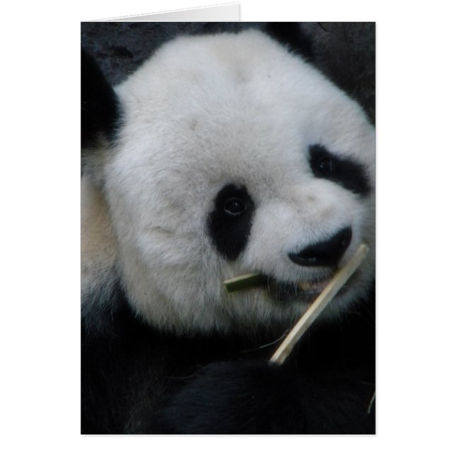 Cartão de Abertura do Panda Fofo (Frente)