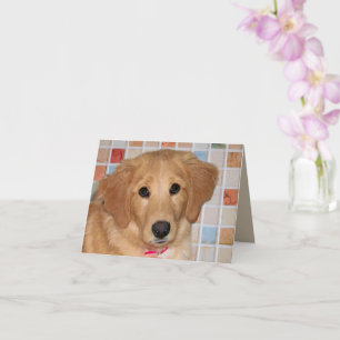 Cartão de Abertura Dobrado com Adorável Cachorrinh