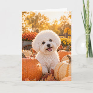 Cartão de Ação de Graças Bichon Frise