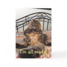 Cartão de Ação de Graças de Ação Faminta de Gato