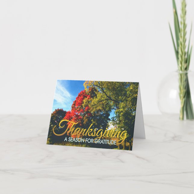 Cartão de Ação de Graças de Negócios 17 (Frente)