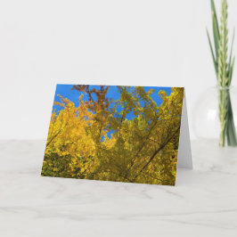 Cartão de Ação de Graças e Queda 3