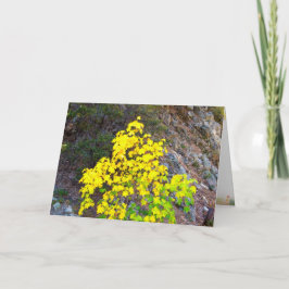 Cartão de Ação de Graças e Queda 4