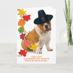 Cartão de Ação de Graças Engraçado Bulldog