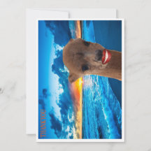 cartão de agradecimento